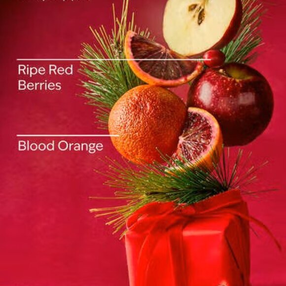 Bath & Body Works Bright Christmas Morning Cleansing Gel Hand Soap - Picture 2 of 2